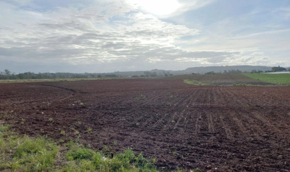 TERRENO-PONTA DO MATO, IÇARA