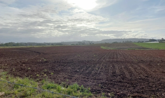 TERRENO-PONTA DO MATO, IÇARA