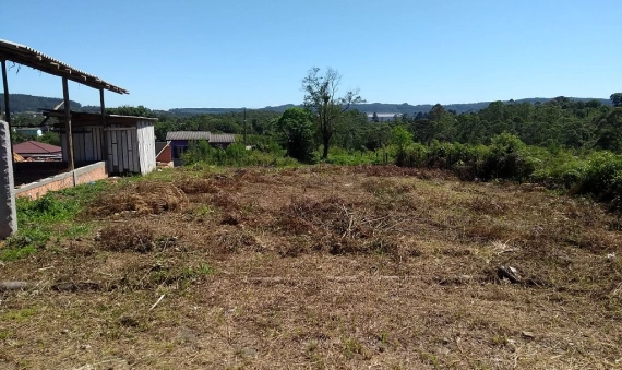 TERRENO - LARANJINHA, CRICIUMA