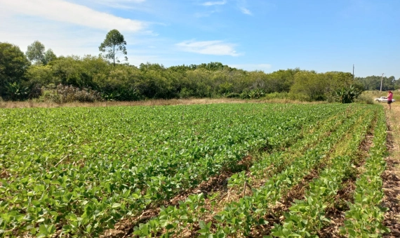 TERRENO RURAL - LINHA ESPERANÇA, IÇARA