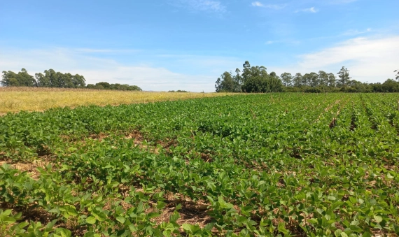 TERRENO RURAL - LINHA ESPERANÇA, IÇARA