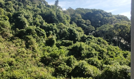 APARTAMENTO NO RESIDENCIAL LAGUNA VILLAGE, MAR GROSSO, LAGUNA 