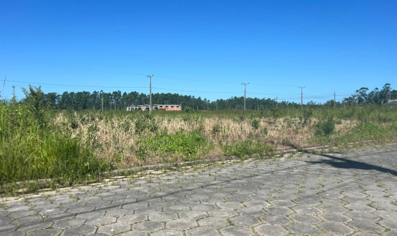 TERRENO - LOT. THOMAZ DAMÁZIO - PALLADINI - MORRO DA FUMAÇA