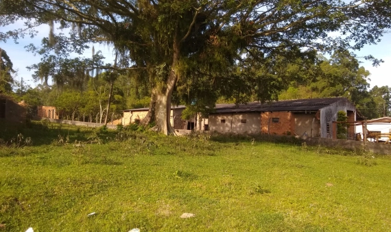 TERRENO - LINHA ANTA, CRICIÚMA