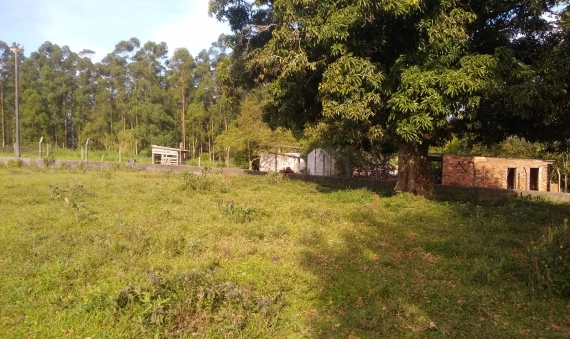 TERRENO - LINHA ANTA, CRICIÚMA