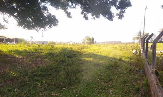 TERRENO - LINHA ANTA, CRICIÚMA