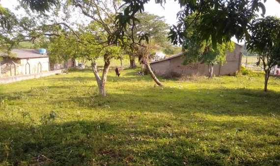 TERRENO - LINHA ANTA, CRICIÚMA