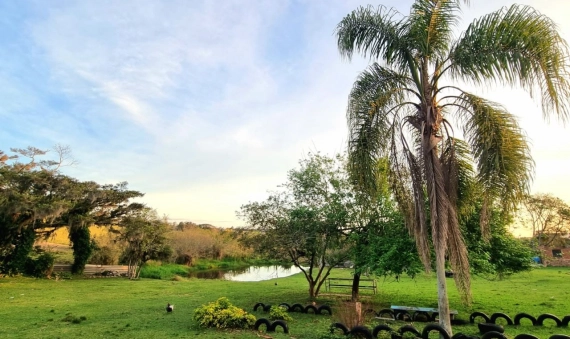 TERRENO, BOA VISTA - IÇARA