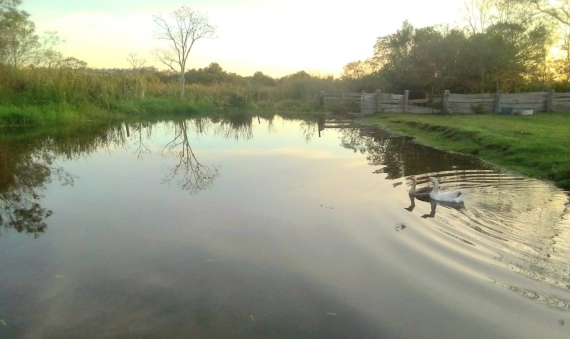 TERRENO, BOA VISTA - IÇARA
