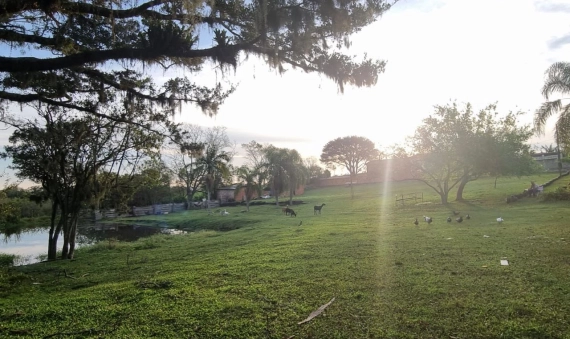 TERRENO, BOA VISTA - IÇARA