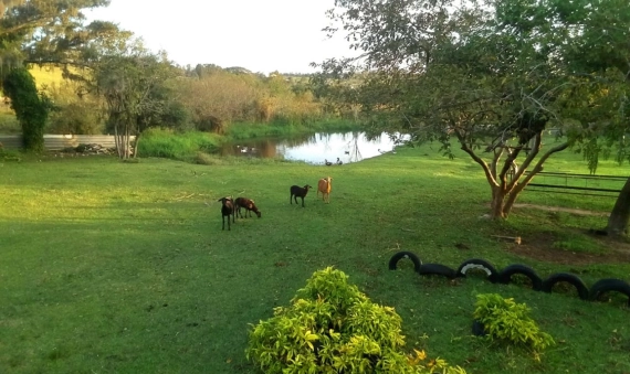 TERRENO, BOA VISTA - IÇARA