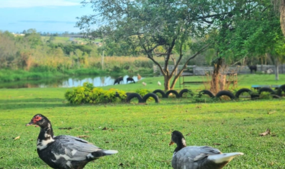 TERRENO, BOA VISTA - IÇARA