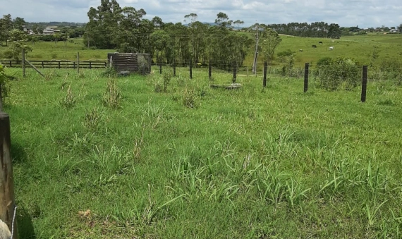SITIO - LOMBAS PEDREIRAS, IÇARA