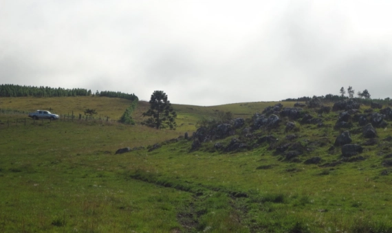 TERRENO - BOM JARDIM DA SERRA