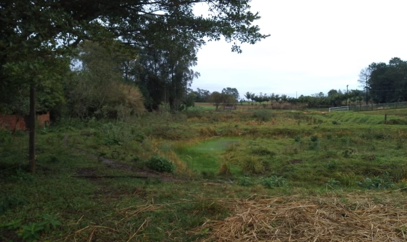 TERRENO - NOVO CARAVAGIO - IÇARA