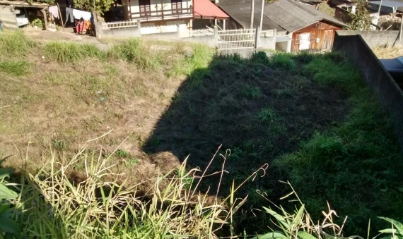 TERRENO - MARIA CÉU, CRICIÚMA