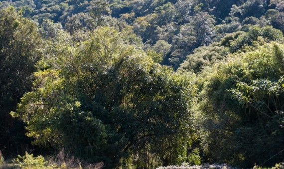 COND. COSTA DA SERRA - INVERNADINHA, RANCHO QUEIMADO