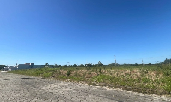 TERRENO - LOT. THOMAZ DAMÁZIO - PALLADINI - MORRO DA FUMAÇA