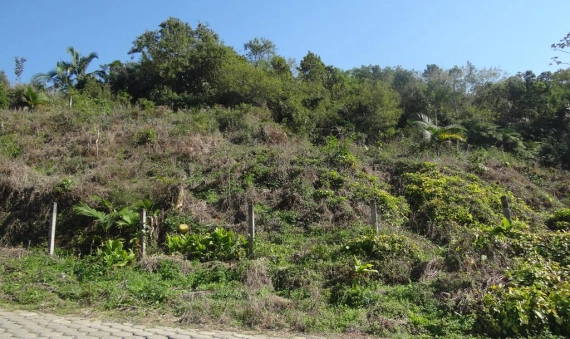 TERRENO - LOTE SEIS, CRICIÚMA