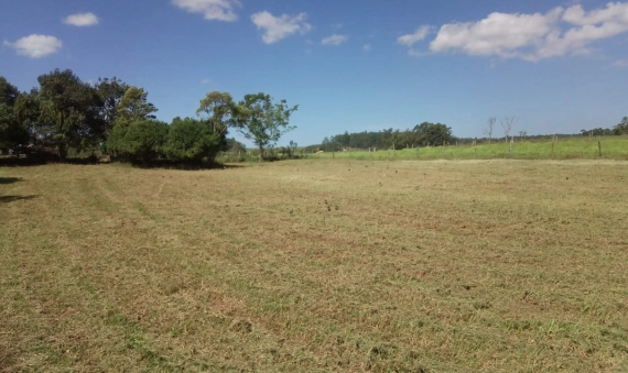 TERRENO - LOMBAS/PEDREIRAS, IÇARA