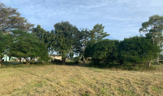 TERRENO - LOMBAS/PEDREIRAS, IÇARA