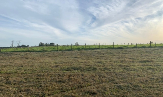 TERRENO - LOMBAS/PEDREIRAS, IÇARA