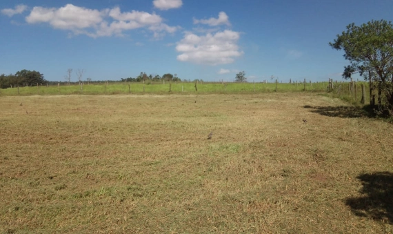 TERRENO - LOMBAS/PEDREIRAS, IÇARA