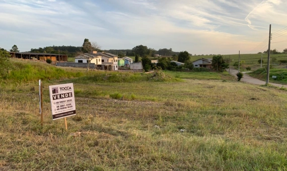 TERRENOS EM FRENTE A SC-445 - LOMBAS/PEDREIRAS, IÇARA