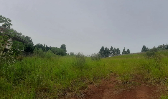 TERRENO, LIRI, IÇARA