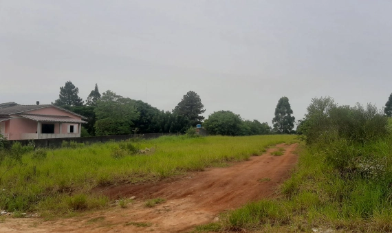 TERRENO, LIRI, IÇARA