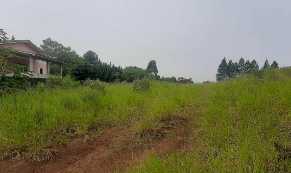 TERRENO, LIRI, IÇARA