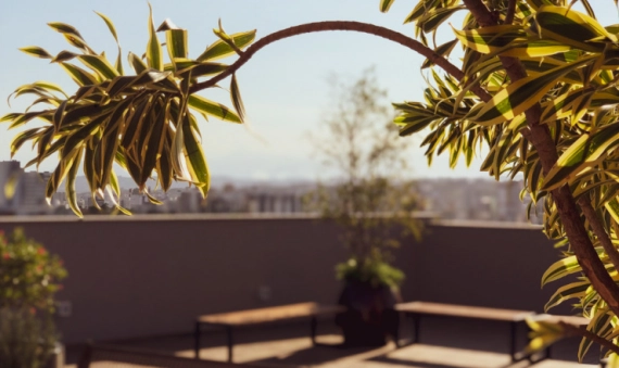 APARTAMENTO, RES. PARQUE DAS NAÇÕES - PRÓSPERA, CRICIUMA