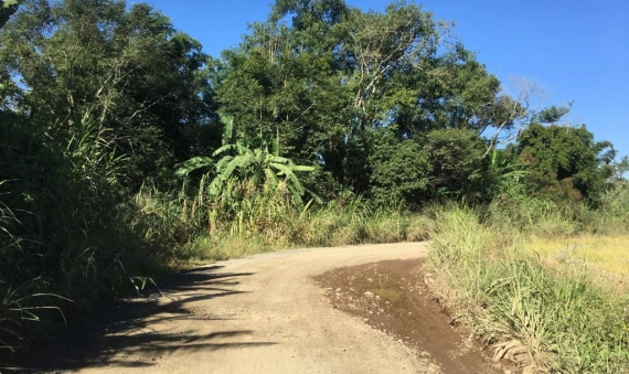 TERRENO RURAL - VILA SÃO PEDRO, SIDERÓPOLIS