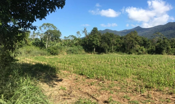 TERRENO RURAL - VILA SÃO PEDRO, SIDERÓPOLIS