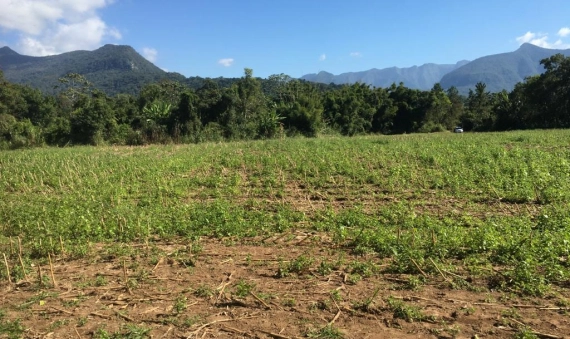 TERRENO RURAL - VILA SÃO PEDRO, SIDERÓPOLIS