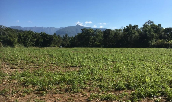 TERRENO RURAL - VILA SÃO PEDRO, SIDERÓPOLIS