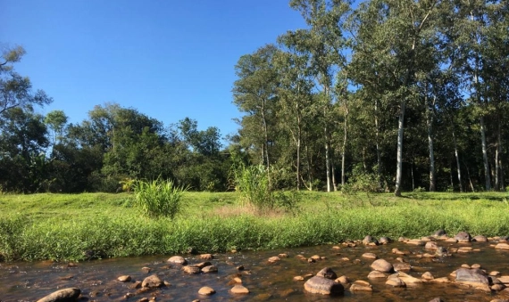 TERRENO RURAL - VILA SÃO PEDRO, SIDERÓPOLIS