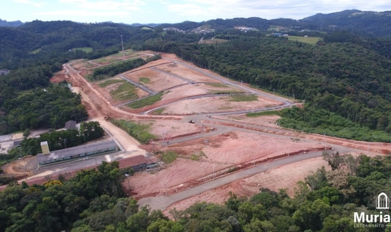 TERRENOS - LOT. MURIALDO - MURIALDO, ORLEANS