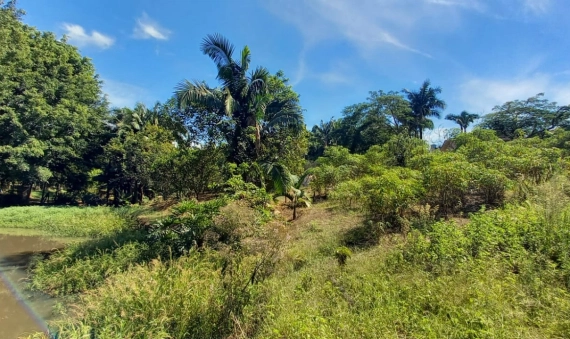 TERRENO, QUARTA LINHA - CRICIÚMA