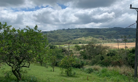 SÍTIO - ARCHIMEDES NASPOLINI, CRICIÚMA