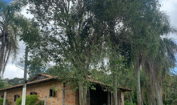 SÍTIO - ARCHIMEDES NASPOLINI, CRICIÚMA