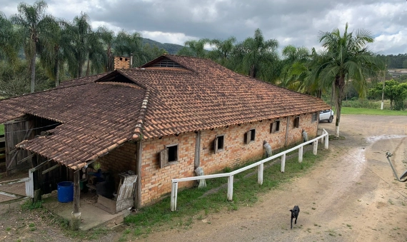 SÍTIO - ARCHIMEDES NASPOLINI, CRICIÚMA