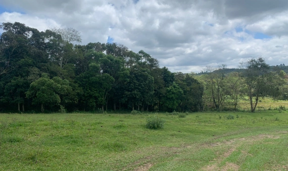 SÍTIO - ARCHIMEDES NASPOLINI, CRICIÚMA