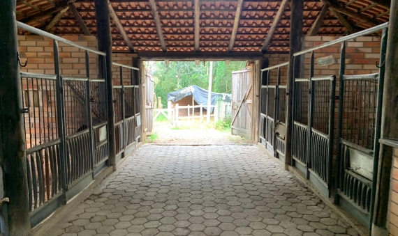 SÍTIO - ARCHIMEDES NASPOLINI, CRICIÚMA