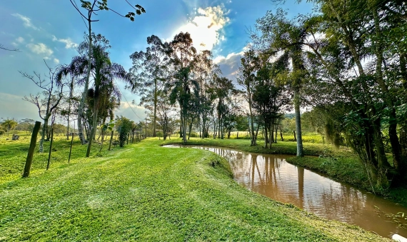 SITIO, PONTÃO-ARARANGUÁ