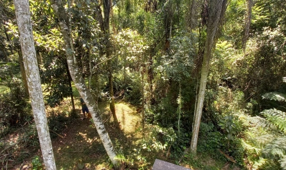 TERRENO RURAL, PRIMEIRA LINHA PONTILHÃO-CRICIÚMA