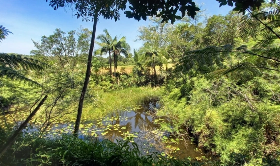 TERRENO RURAL, PRIMEIRA LINHA PONTILHÃO-CRICIÚMA