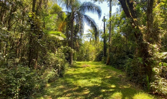 TERRENO RURAL, PRIMEIRA LINHA PONTILHÃO-CRICIÚMA