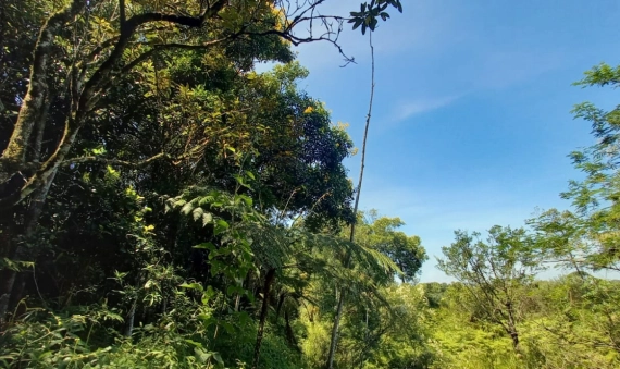 TERRENO RURAL, PRIMEIRA LINHA PONTILHÃO-CRICIÚMA