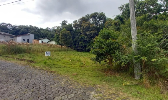 LOTE, VILA SÃO JORGE -  SIDERÓPOLIS